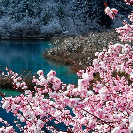 Sheraton Jiuzhaigou Resort Eksteriør bilde