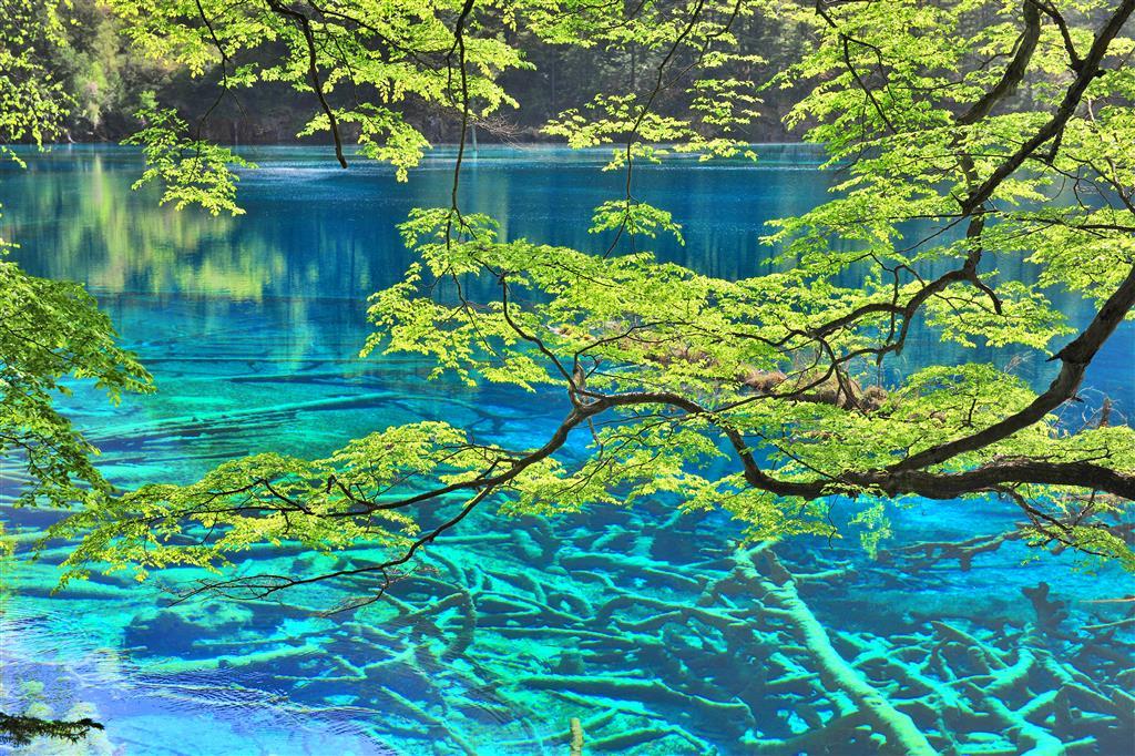 Sheraton Jiuzhaigou Resort Fasiliteter bilde